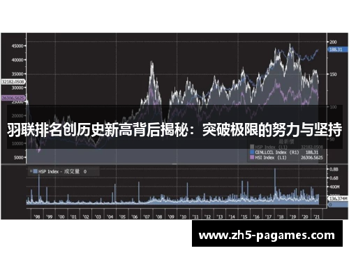 羽联排名创历史新高背后揭秘：突破极限的努力与坚持