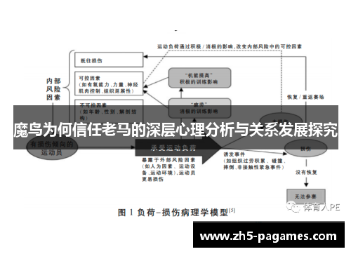 魔鸟为何信任老马的深层心理分析与关系发展探究