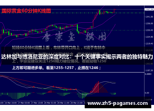 达林加与博洛尼亚的深度对比：十个关键事实揭示两者的独特魅力