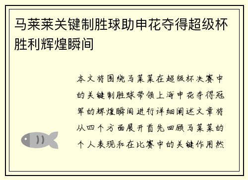 马莱莱关键制胜球助申花夺得超级杯胜利辉煌瞬间