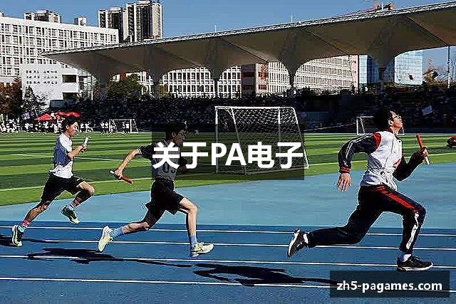 关于PA电子
